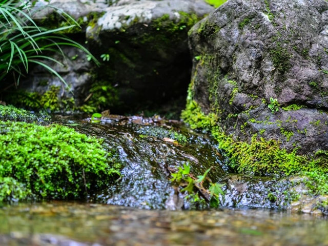 水資源とは?日本や世界の水問題と原因、取組みについて解説