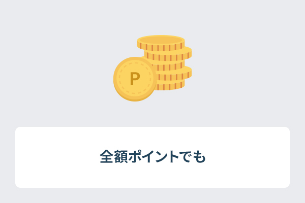 全額ポイントでも
