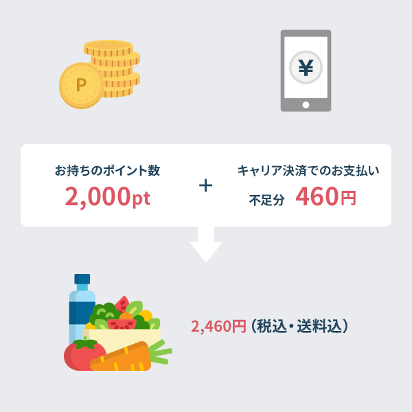 ポイントを使った上手なお買い物の例